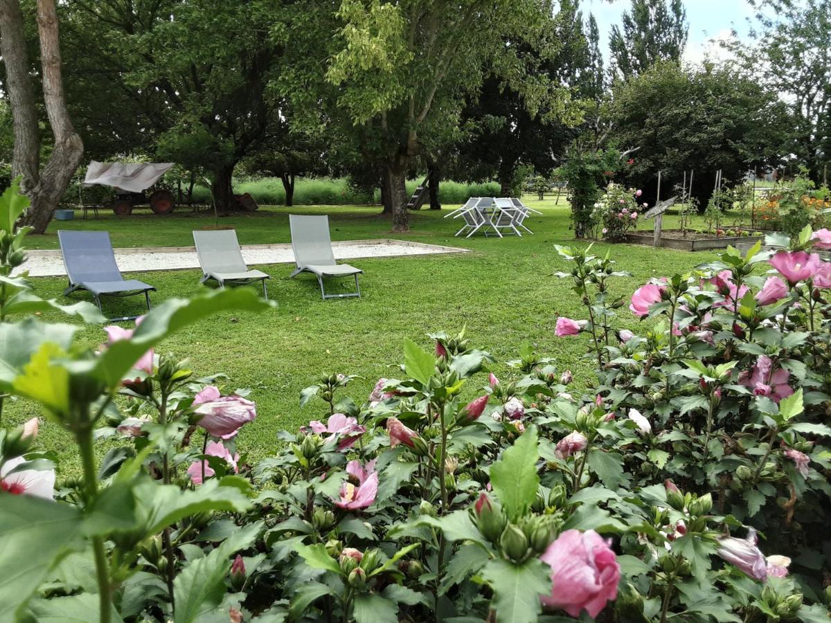 Gite " Les Tourterelles" Thaims Esterno foto
